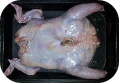 Кулинарни рецепти тема - Категория Кулинарни изкушения с пилешко месо - РецептаПълнена пуйка за нова година кулинарна рецепта от Поморийско