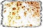 Подправка с име Агара японска пяна. Конфитюр,боровинки,БДС,689