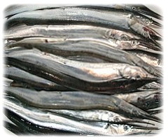 Кулинарни рецепти тема - Категория Кулинарни изкушения от риба - РецептаРибен кебап с гъби кулинарна рецепта от Варна